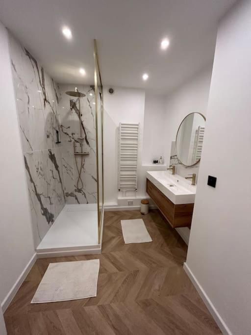 Appartement De Charme Hyper Centre 르망 외부 사진